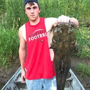 Meet your Posher, Levi